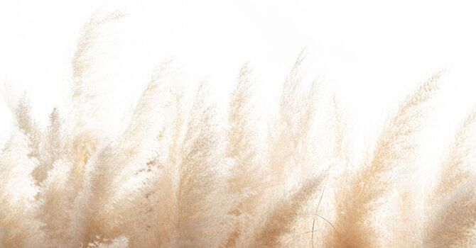 Individual Psychotherapy, Couples Work 