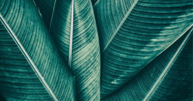 Individual Psychotherapy, Couples Work 