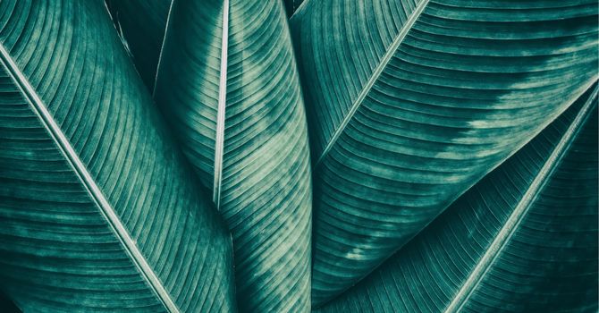 Individual Psychotherapy, Couples Work 